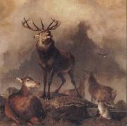 Sir Edwin Landseer A Majestic Gathering oil painting artist